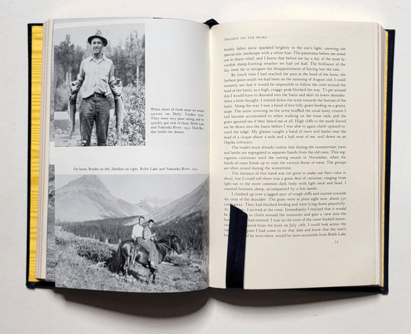 Exploring For Wild Sheep in British Columbia in 1931 and 1932