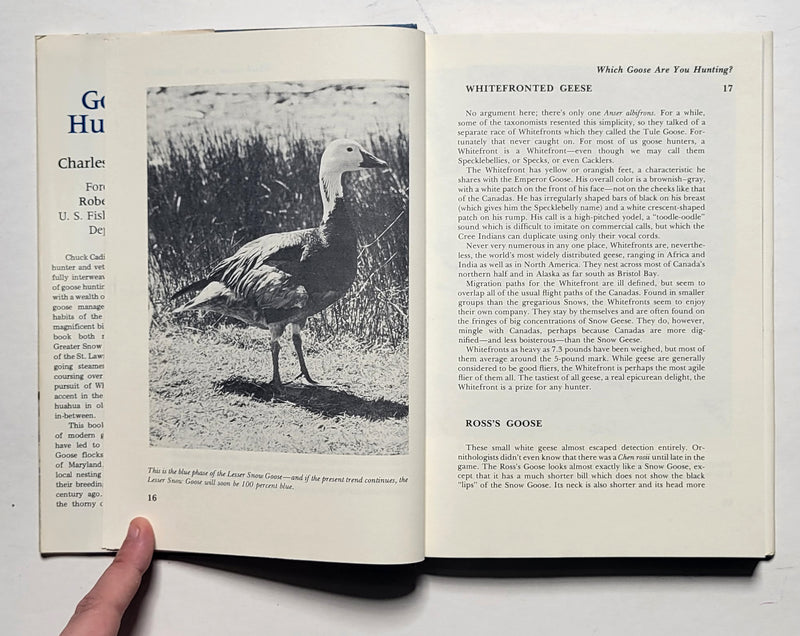 Goose Hunting