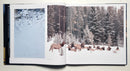 Visions of Elk Country: A Celebration of the Rockies in Word and Image