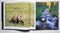 Visions of Elk Country: A Celebration of the Rockies in Word and Image