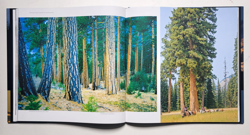 Visions of Elk Country: A Celebration of the Rockies in Word and Image