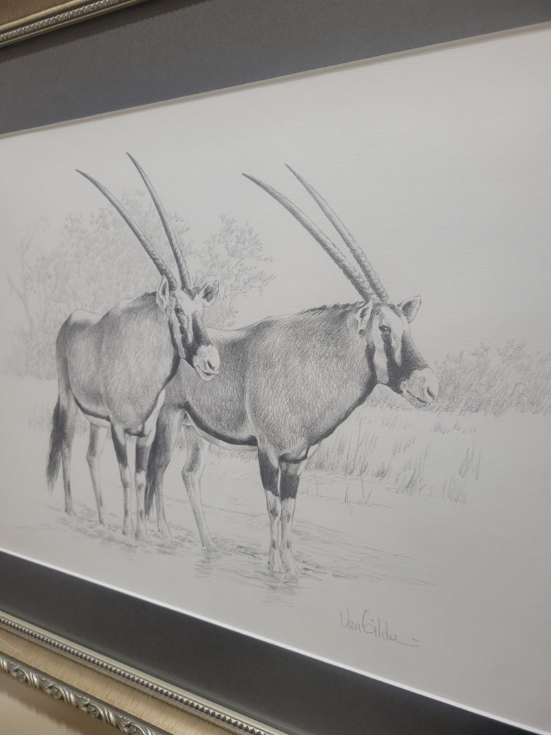Oryx by Ron Van Gilder