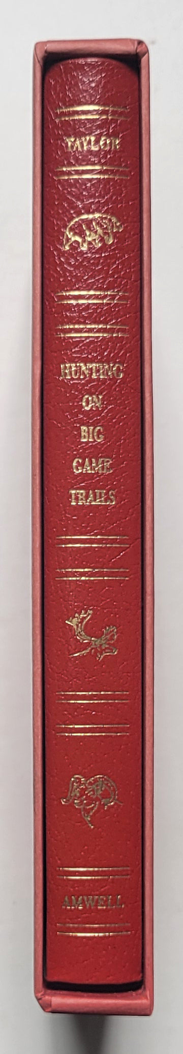 Hunting On Big Game Trails