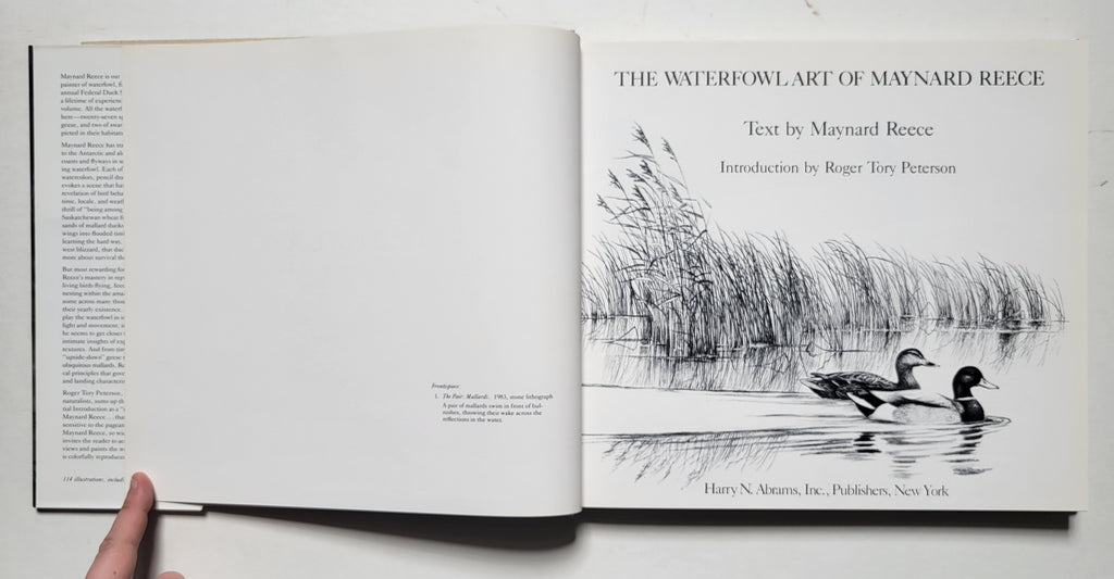 Maynard Reece The Waterfowl Art of Maynard Reece – Sporting Classics Store