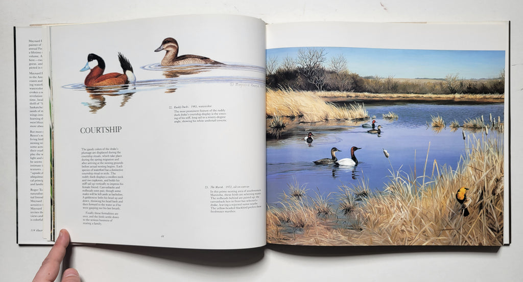 Maynard Reece The Waterfowl Art of Maynard Reece – Sporting Classics Store