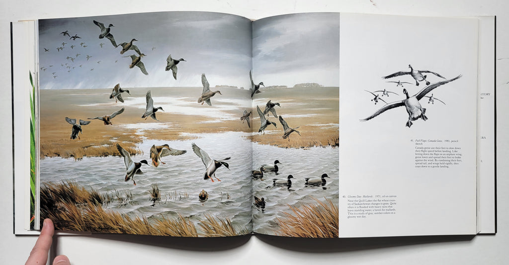 Marnard Reece The Waterfowl Art of Maynard Reece – Sporting Classics Store