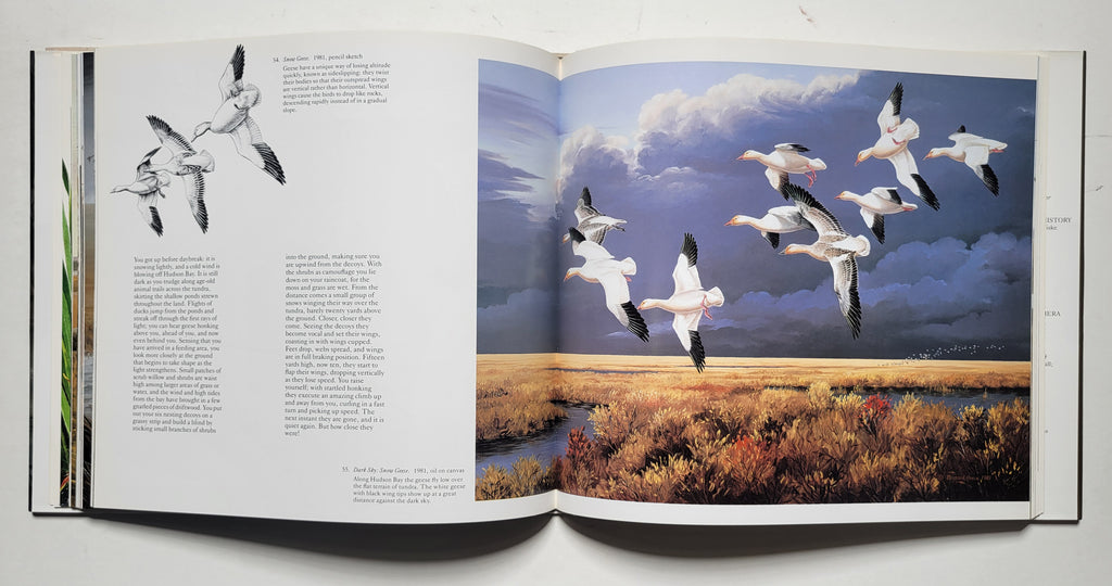 Marnard Reece The Waterfowl Art of Maynard Reece – Sporting Classics Store