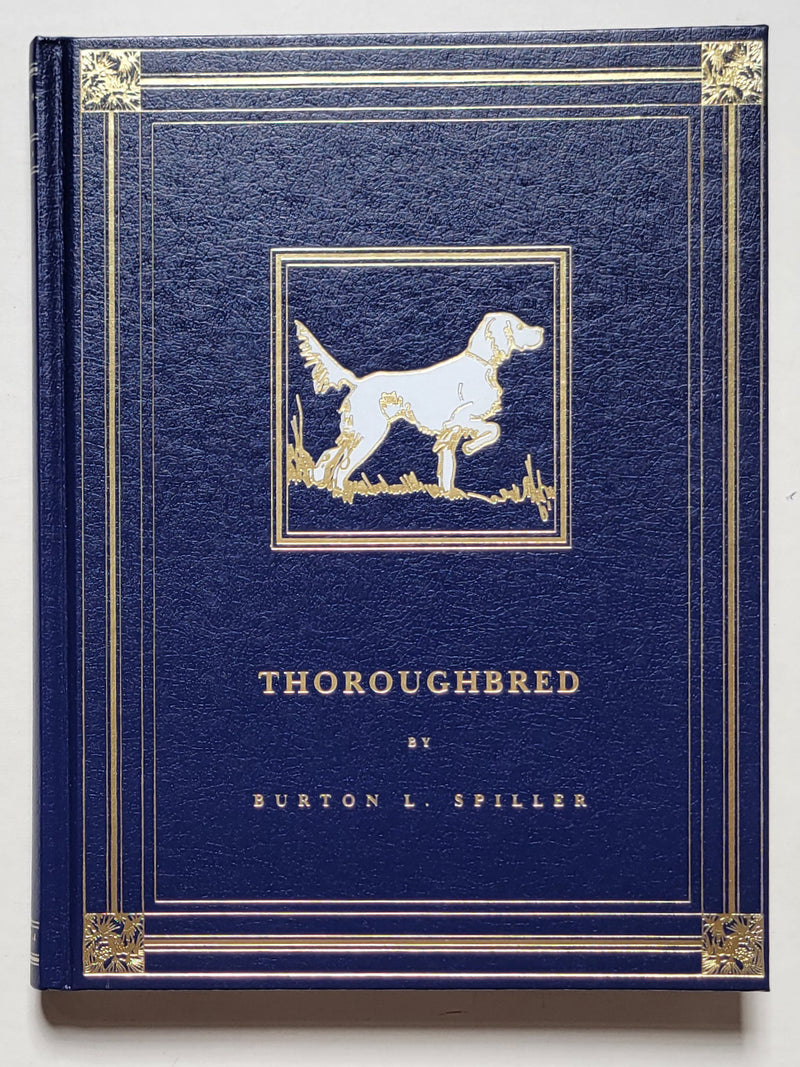 Thoroughbred
