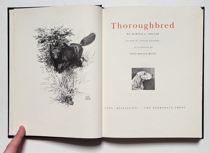 Thoroughbred