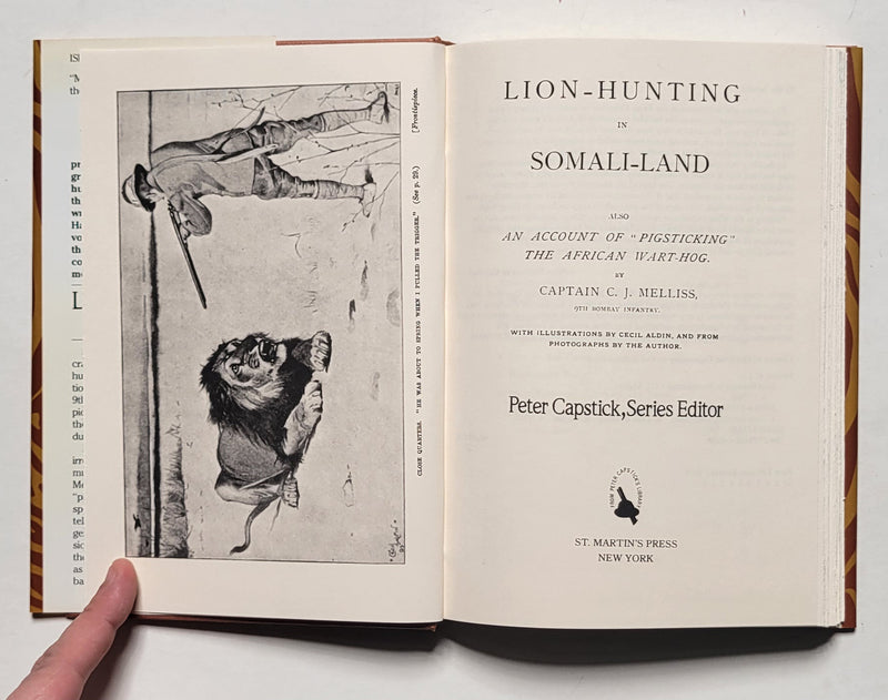 Lion Hunting in Somaliland