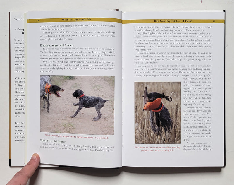 What the Dogs Taught Me
