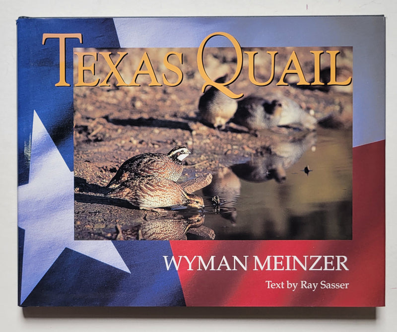 Texas Quail