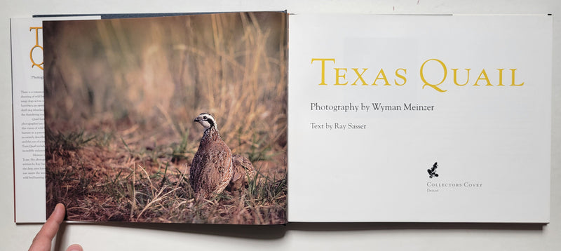 Texas Quail