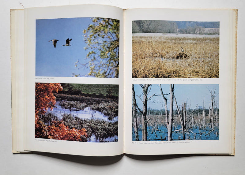 Wild Goose Country