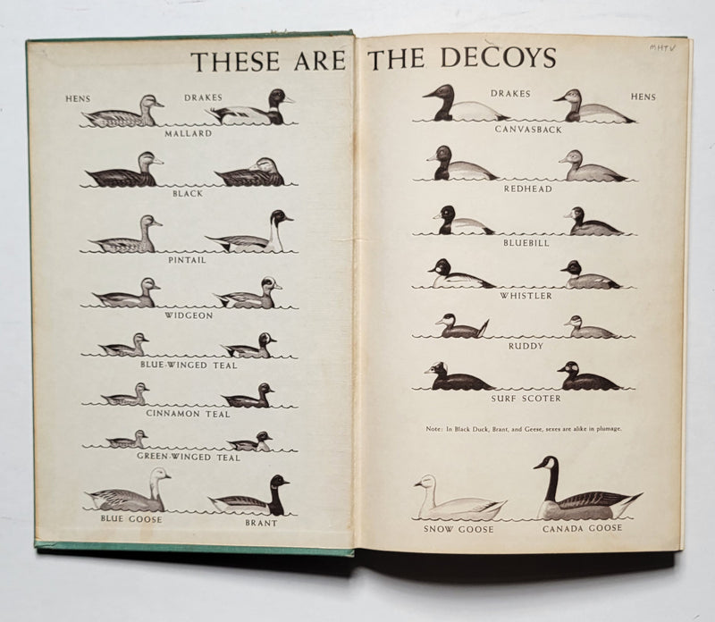 Duck Decoys and How to Rig Them