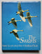 The Swans