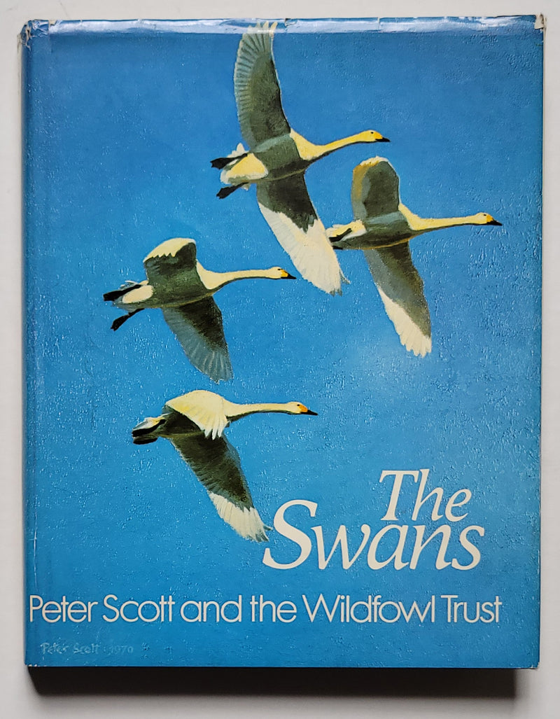 The Swans