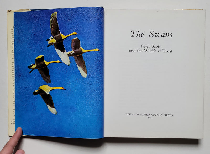 The Swans
