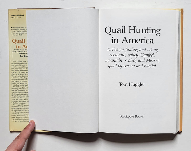 Quail Hunting In America