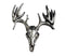 13 Point Drop Tine Buck Skull Pewter Pin