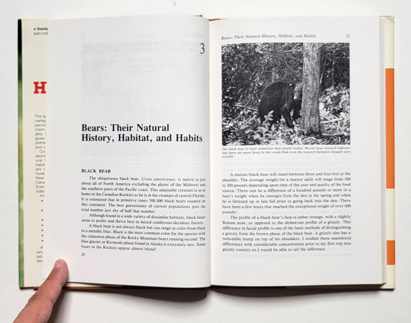 Bear Hunting by Jerry Meyer