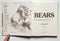 Bears: An Outdoor Life Book