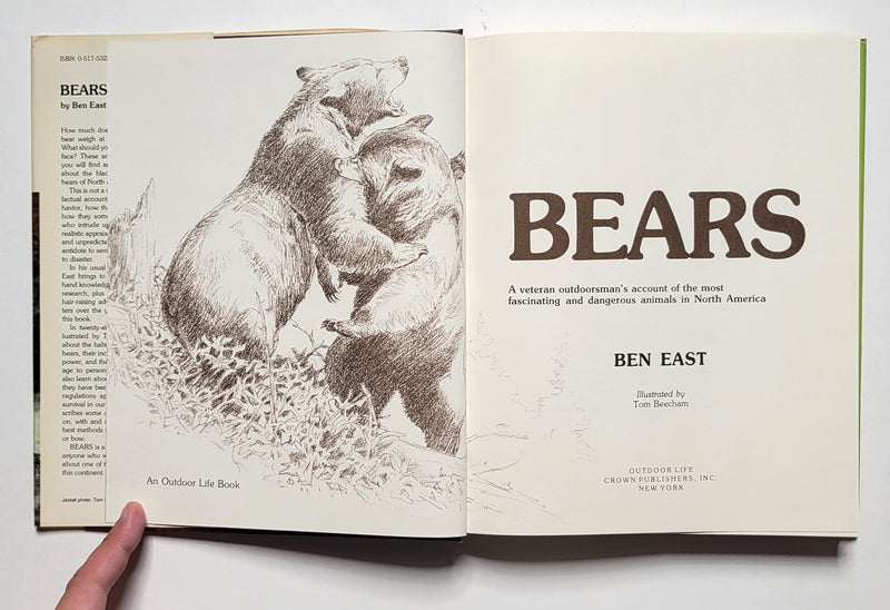 Bears: An Outdoor Life Book