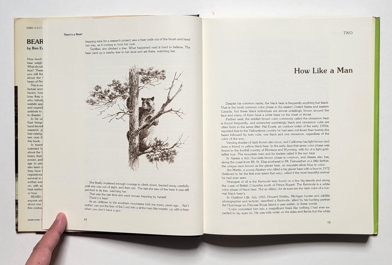 Bears: An Outdoor Life Book