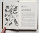 The Greatest Quail Hunting Book Ever