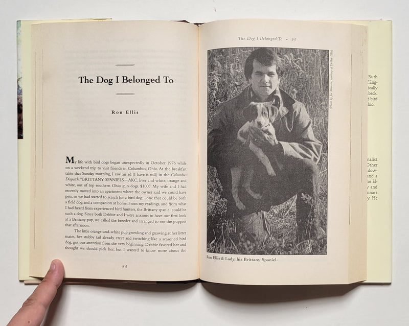 Afield: American Writers on Bird Dogs