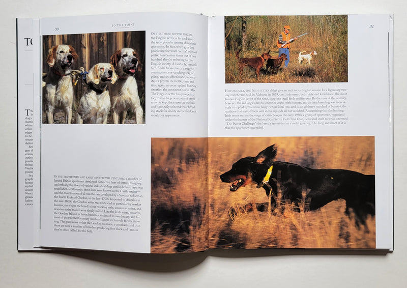 To the Point: A Tribute to Pointing Dogs