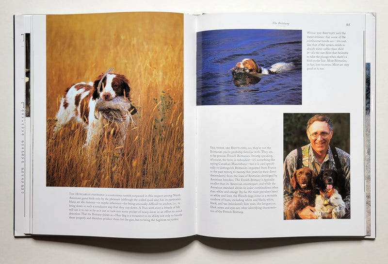 To the Point: A Tribute to Pointing Dogs