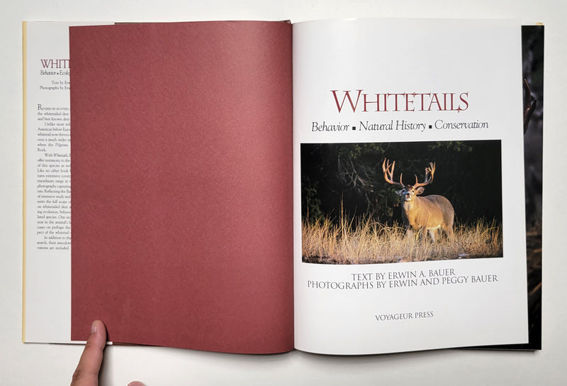 Whitetails: Behavior, Ecology, Conservation