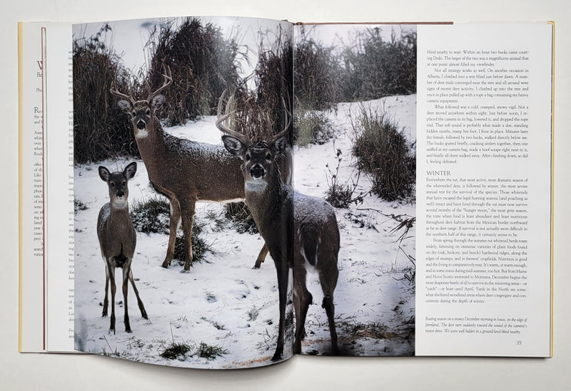 Whitetails: Behavior, Ecology, Conservation