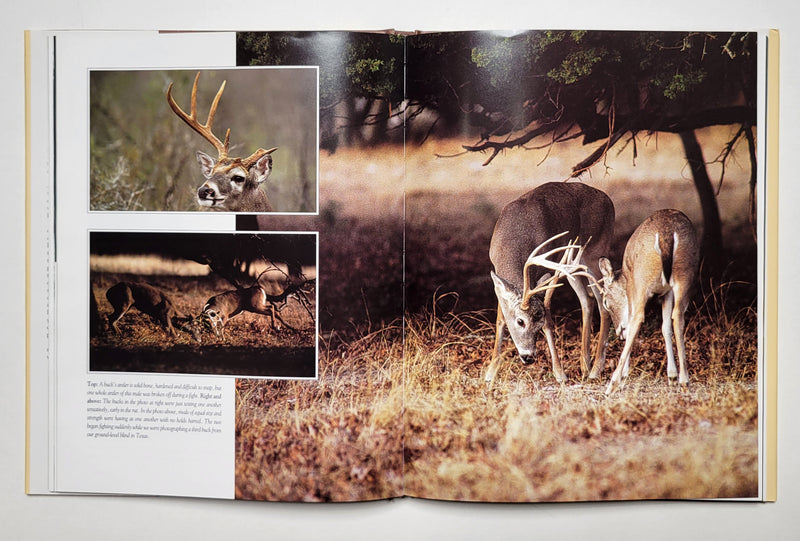 Whitetails: Behavior, Ecology, Conservation