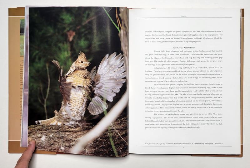 Columbia Sportswear Company's Grouse of North America: A Cross-Continental Hunting Guide
