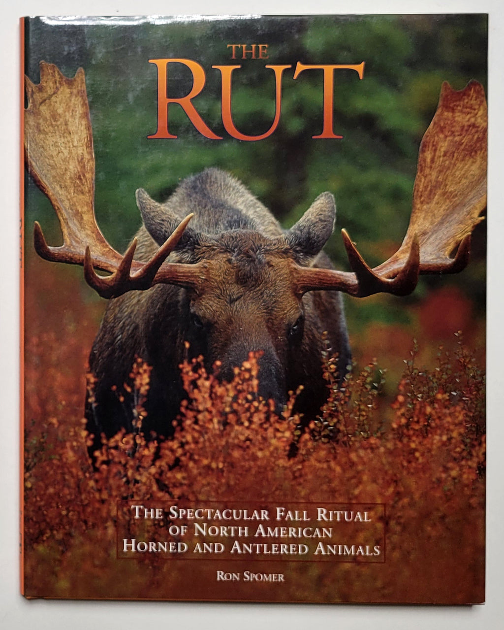 The Rut Process Animal The Rut: The Spectacular Fall Ritual of North American Horned and Antl ...