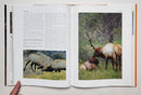 The Rut: The Spectacular Fall Ritual of North American Horned and Antlered Animals