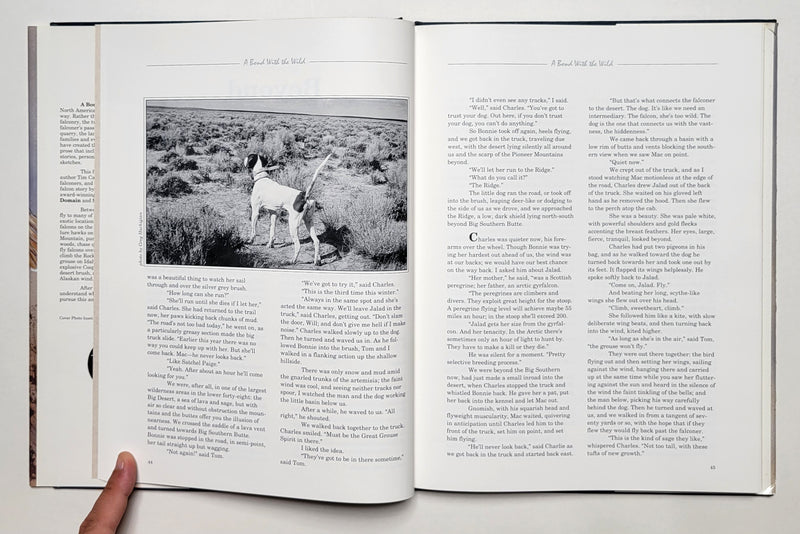 A Bond With The Wild: A Celebration of American Falconry
