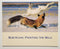 Bob Kuhn: Painting the Wild