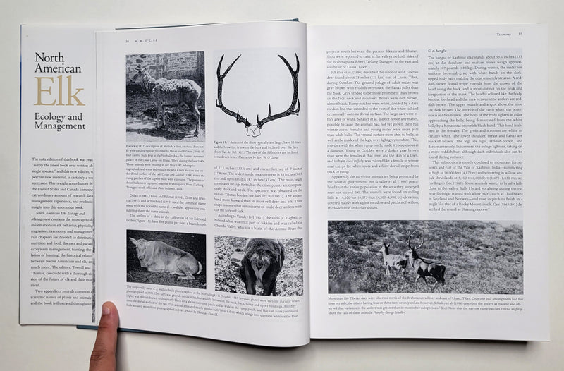 North America Elk: Ecology and Management