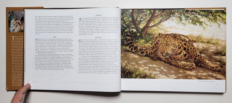 The African Lion as Man-Eater: Guy Coheleach
