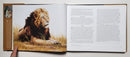 The African Lion as Man-Eater: Guy Coheleach