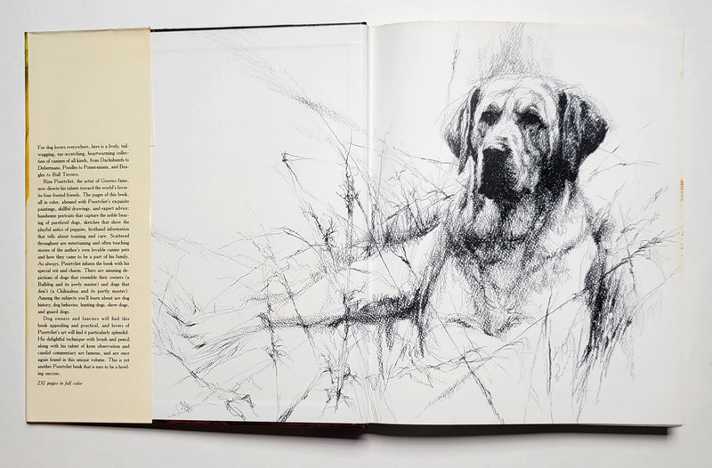 Dogs