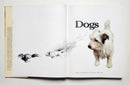 Dogs