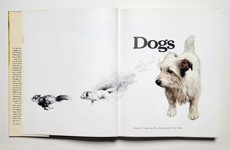 Dogs