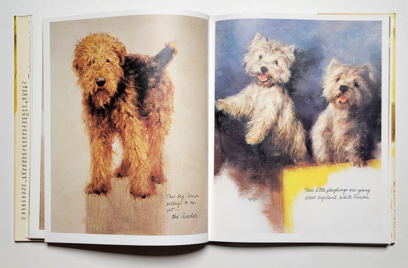 Dogs