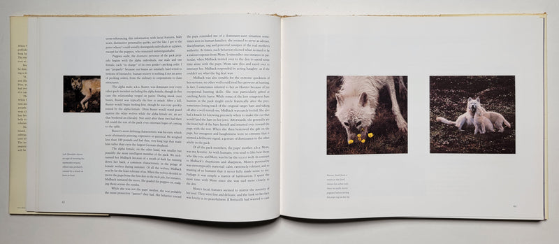 White Wolf: Living With an Arctic Legend