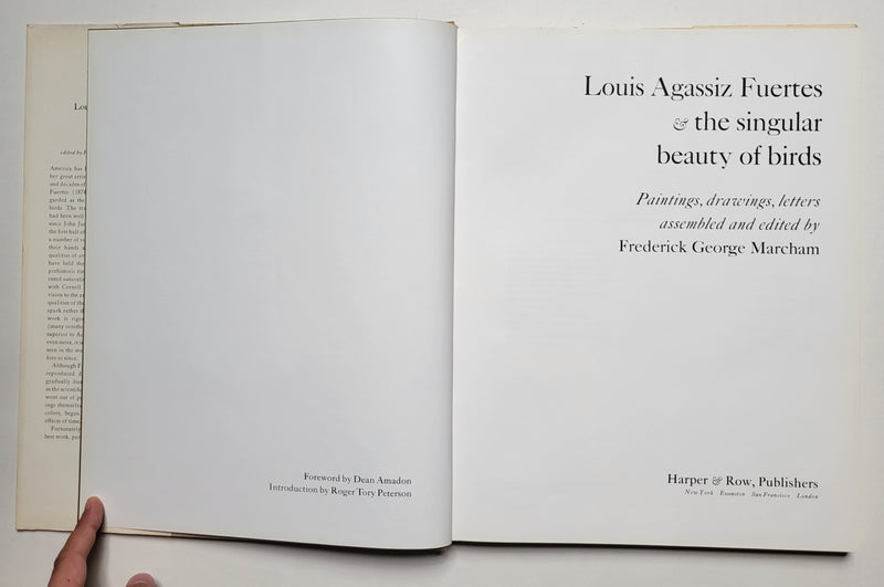 Louis Agassiz Fuertes & the Singular Beauty of Birds