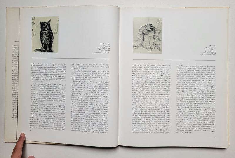Louis Agassiz Fuertes & the Singular Beauty of Birds
